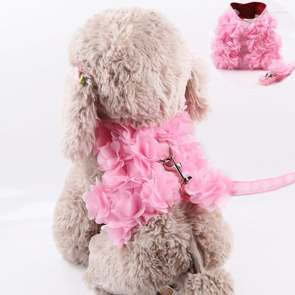 Collari per cani Fiori rosa Imbracatura Guinzaglio Set Accessori Cute Puppy Cat Pettorina Guinzagli Vest Per Chihuahua Yorkshire Terrier Teddy Pet