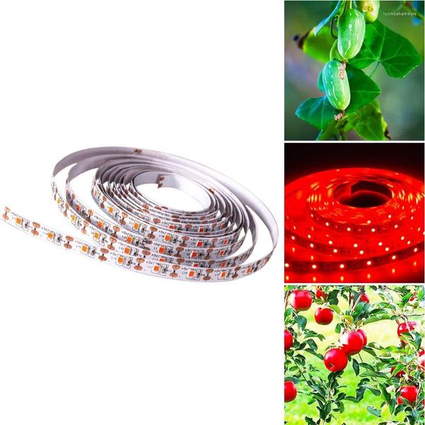 Le strisce LED coltivano la lampada USB Striscia della pianta 0.5m 1m 2m 3m Luci per la piantina del fiore dell'interno