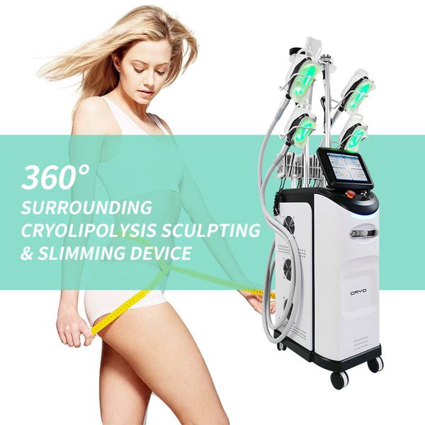 2023 Cryolipolysis Fat Freeze Lipofreeze Congelamento macchina per scolpire il corpo freddo per uso personale Crioterapia Bellezza dimagrante