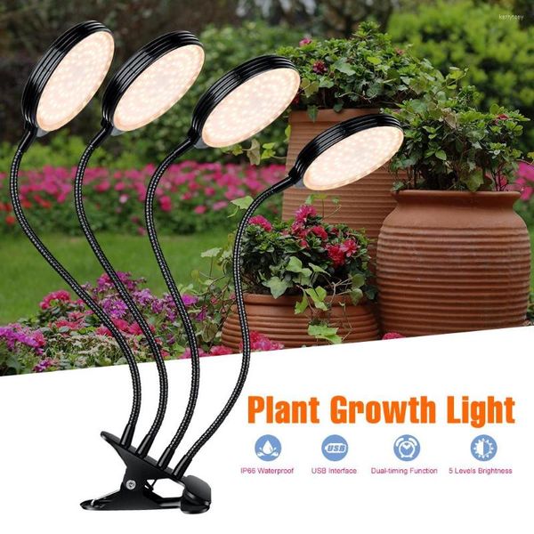 Luzes de cultivo LED Phytolamp Greenhouse Tent Hydroponics Sistema de cultivo Cultivo interno Phyto Lamp for Plants Flower Seeds