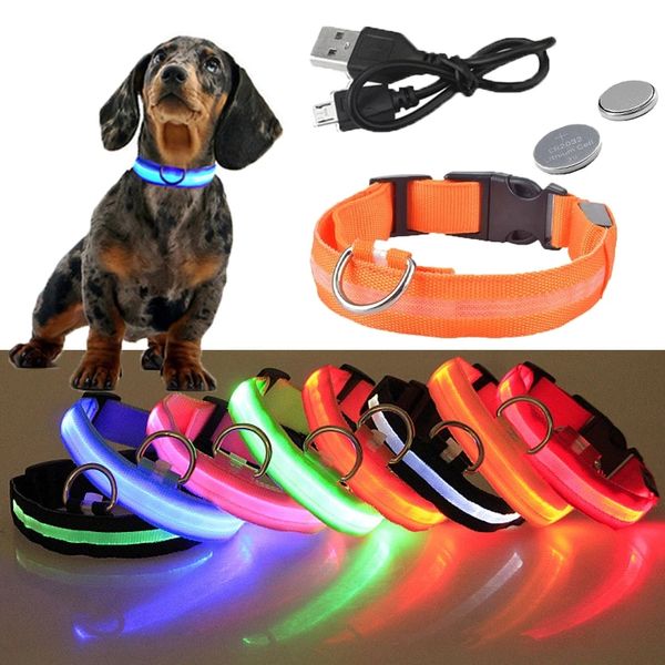 Collare per cani incandescente a LED Novità Illuminazione Ricarica USB Ricarica lampeggiante regolabile
