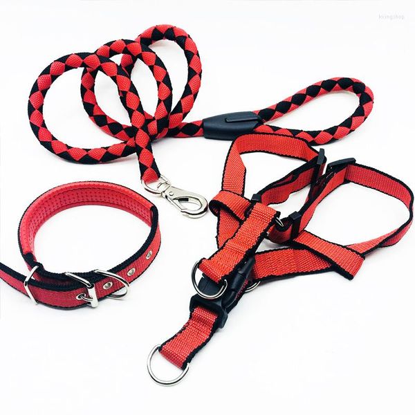 Collari per cani Collare per guinzaglio per animali domestici Imbracatura per trazione Catena Cinturino pettorale Corda intrecciata media Forniture Pitbull Yorkshire Terrier