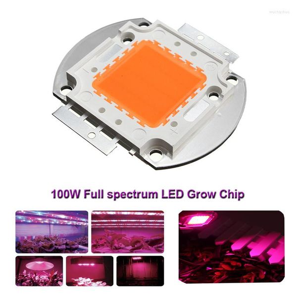 Luzes de cultivo 100W Full Spectrum LED COB LIGHT PLANT LUBLE BULL 380-840NM 1PCS