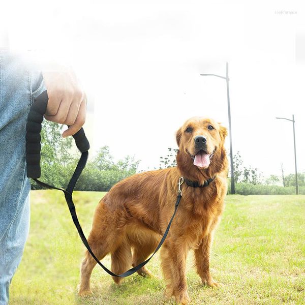 Colarinhos de cachorro 180 cm de trela de corda confortável Hunte de esponja Pet Lanking Felicista de treinamento ao ar livre Treinamento para cães grandes pequenos cães grandes coisas