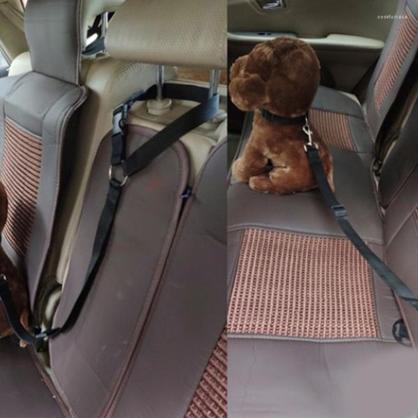 Hundehalsbänder C1FA Kragengurt Autositzgurt Einstellbare Sicherheit Einziehbar Atmungsaktiv Feine Verarbeitung Langlebiges Geschenk für Haustier im Freien