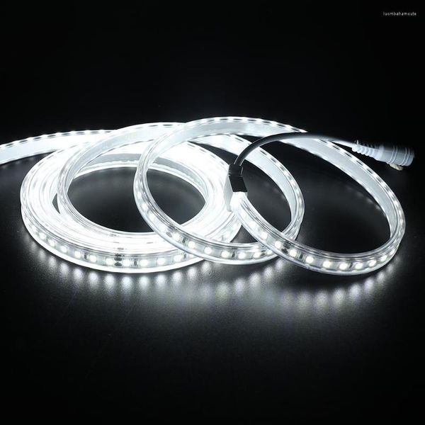 Strisce 5m Led Strip Light Con DC SMD2835 120Leds/m Tubo Impermeabile 12V Super Bright 2835 Nastro Bianco Caldo/Bianco