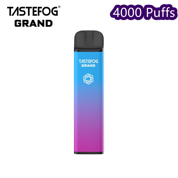 Qk tastefog Grand descartável Vape POD DESECILÍVEL 4000 PUFFS HOT LESP