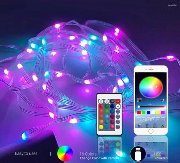 Stringhe Bluetooth USB LED String Lights RGBIC Smart Fairy Dream Color Party Wedding Decorazione per interni Giardino Natale