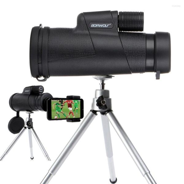 Telescópio Borwolf 10x42 Monoculares Bak4 Prism FMC Lente óptica de alta potência Hunting Birdwatching impermeável Visão noturna