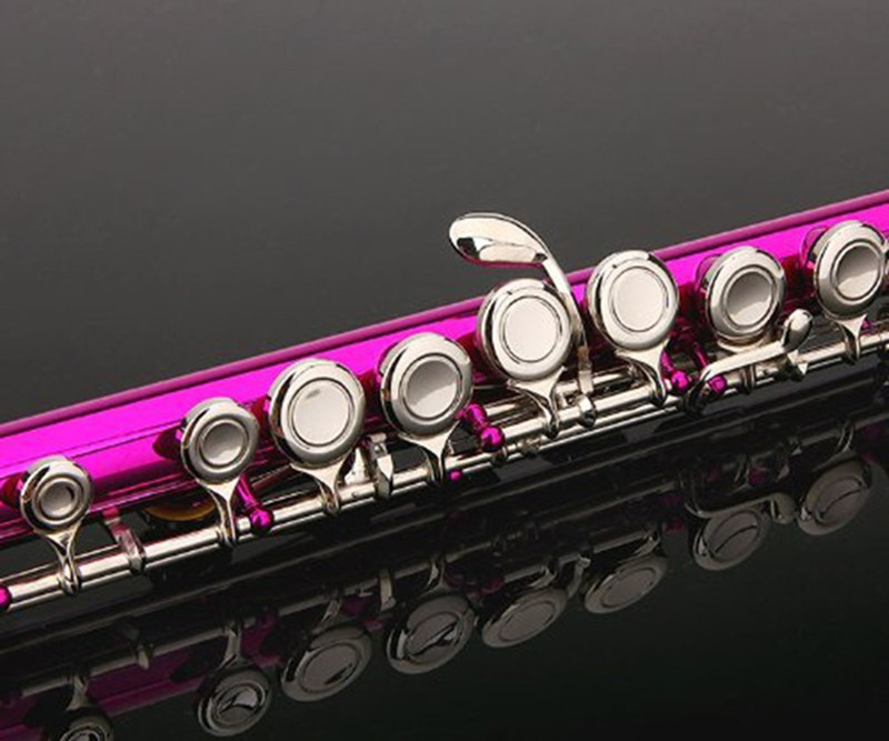 Großhandel Flöte Rosa Farbe Körper Nickel Schlüssel 16 Geschlossenes Loch C Tune und E-Key Flöte Instrumente professionelle Kostenloser versand