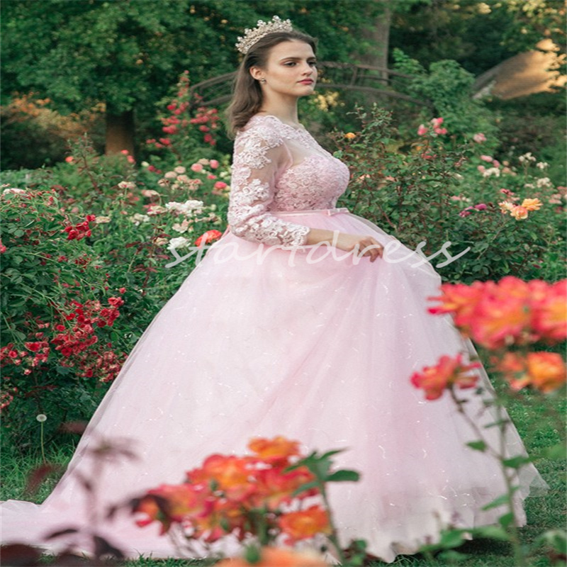 Abiti da principessa rosa Quinceanera 2024 Sedici applicazioni in tulle di pizzo Abito dolce 16 Abiti da 15 anos Elegante manica lunga Abito sexy aperto sul retro Abito da debuttante