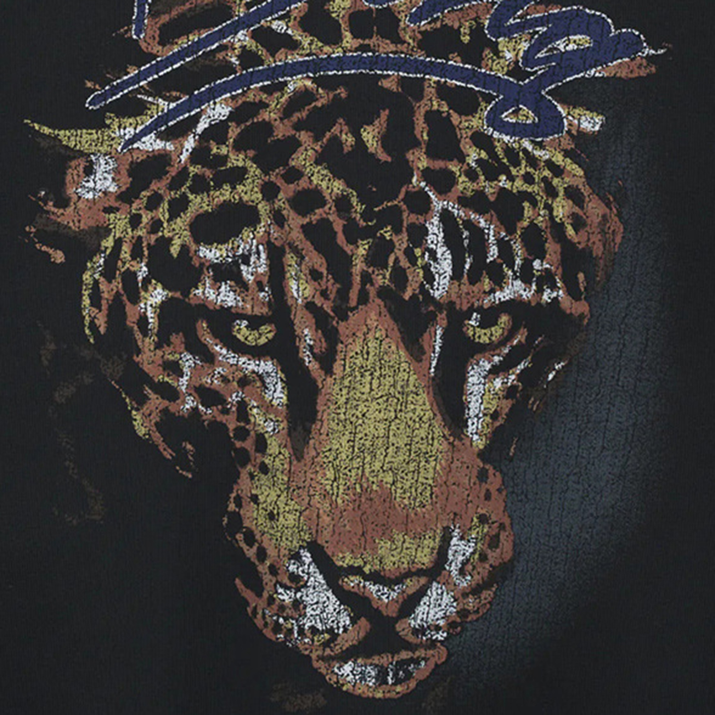 Sweat-shirt graphique imprimé tigre pour femme, manches longues, col rond, lettre brodée au dos, sweat à capuche en coton, mode nouveau streetwear, printemps 2024