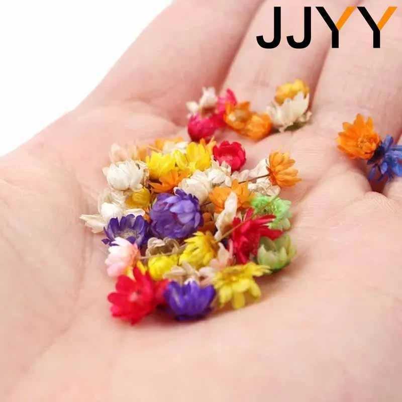 Faux Floral Verdure JJYY 1 Paquet / Multicolore Mini Fleurs Séchées Bricolage Artisanat Résine Époxy Fabrication De Bougies Bijoux Décoration De Fête À La Maison YQ240125