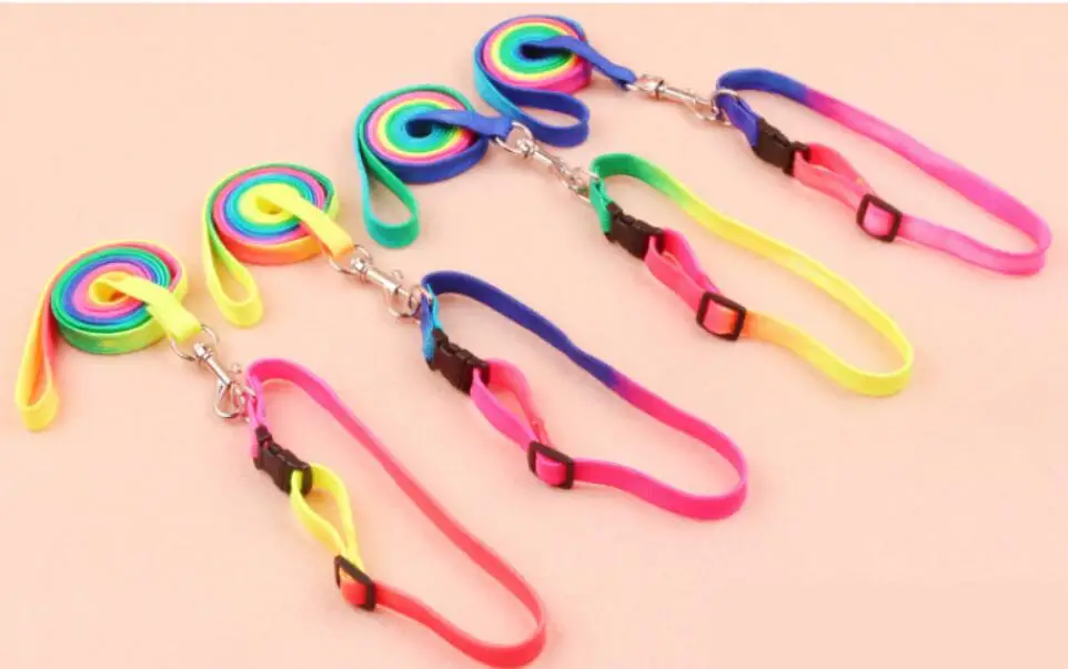 Leashes 10 sztuk/partia Rainbow kolorowe Pet smycz Pet dog cat liny szelki YY1101