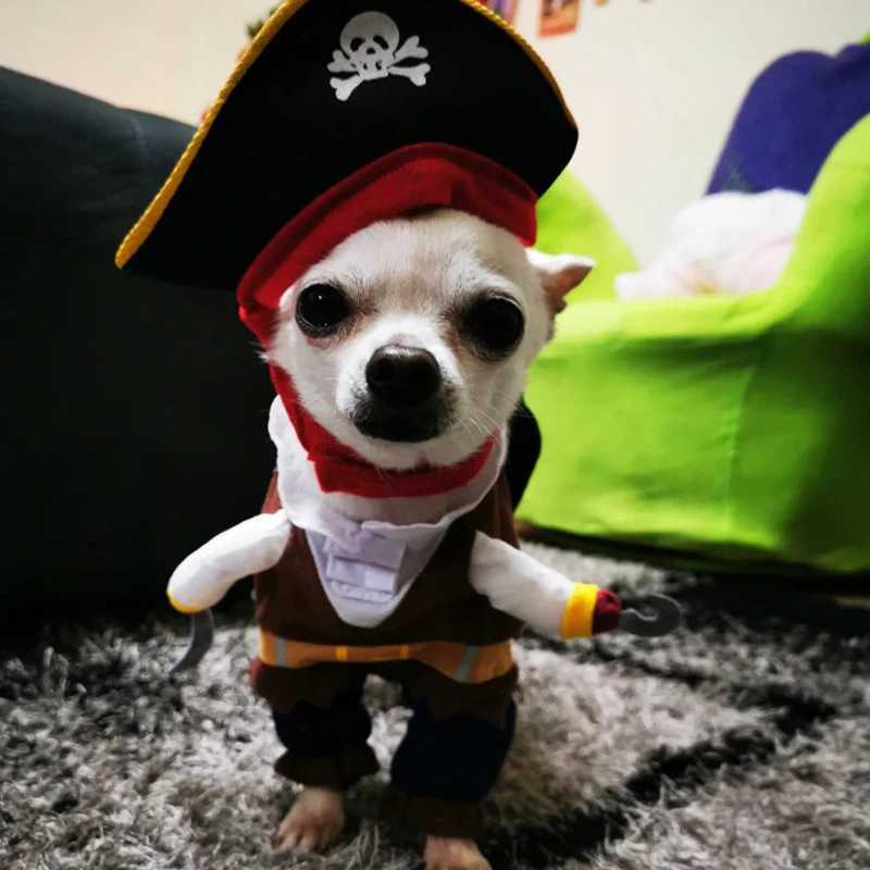 Vêtements pour chiens Halloween drôle chien chat costume fête fantaisie déguisement pirate costume animal corsaire vêtements veste chihuahua bouledogue français cosplay