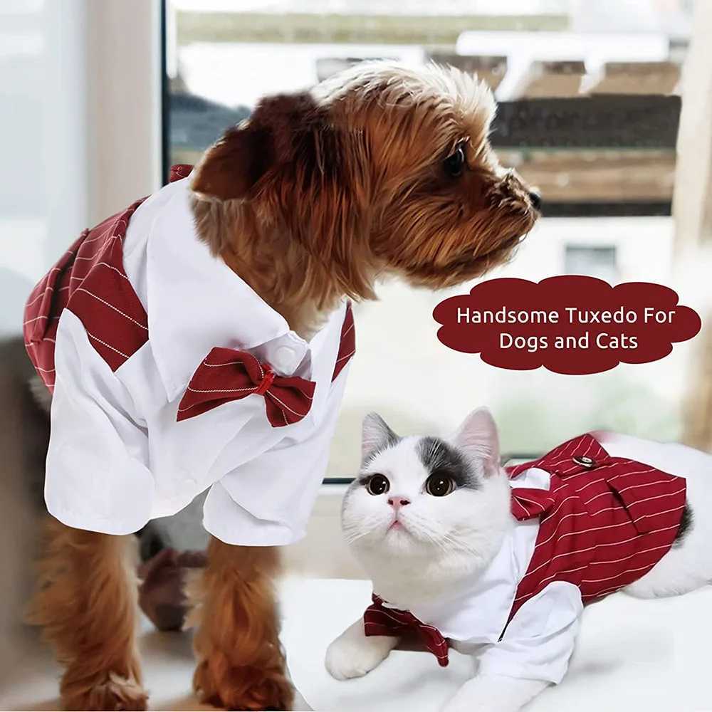 Vestuário para cães Smoking para cães Camisa formal para cães com gravata borboleta Terno listrado para animais de estimação para festa de aniversário de casamento Fantasia de príncipe para buldogue francês