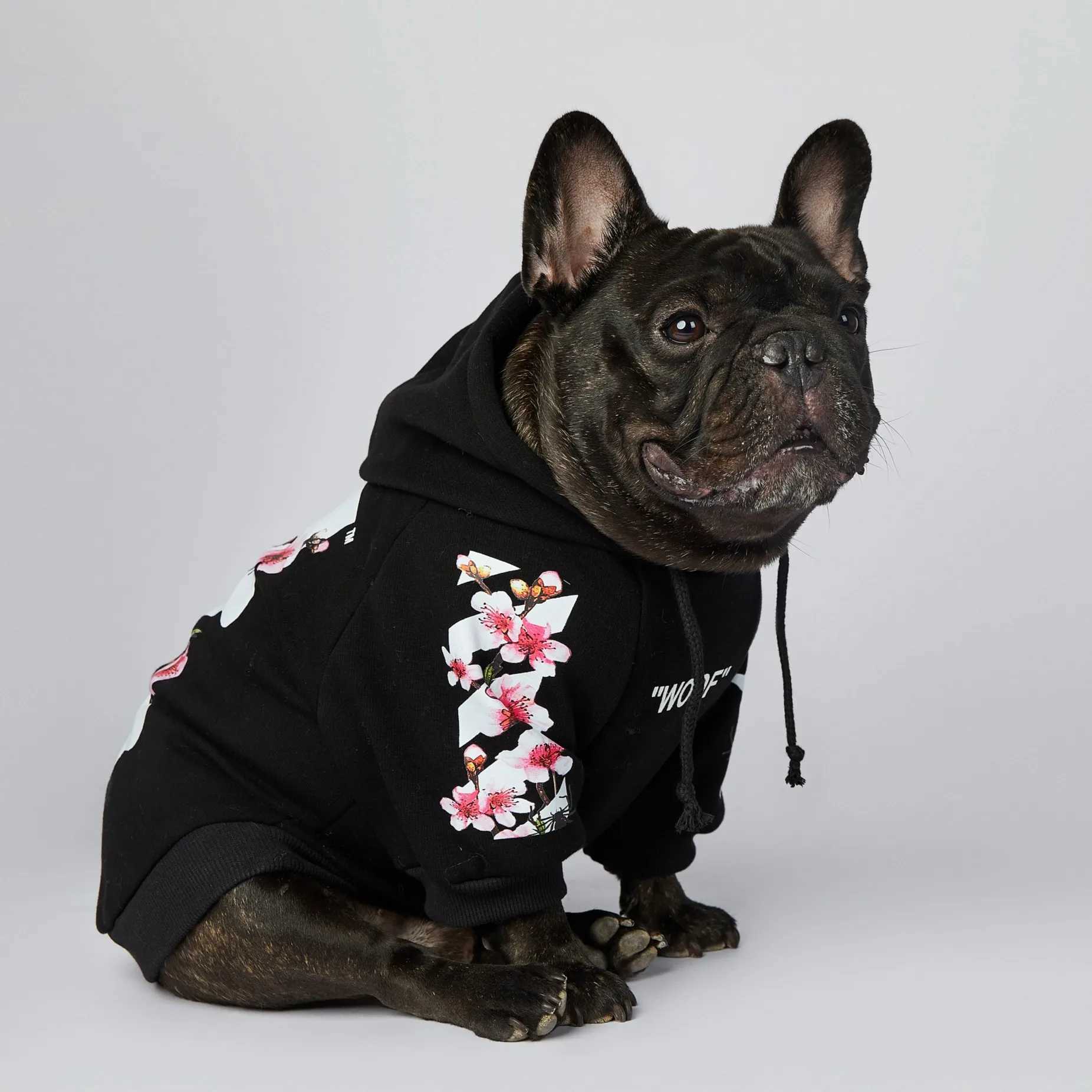 Hondenkleding WOOF Mode Sakura Hondenjas Populaire Trend Merk Ins Hond Hoodies Winter Franse Bulldog Mopshond Sport Hondenkleding M-4XL