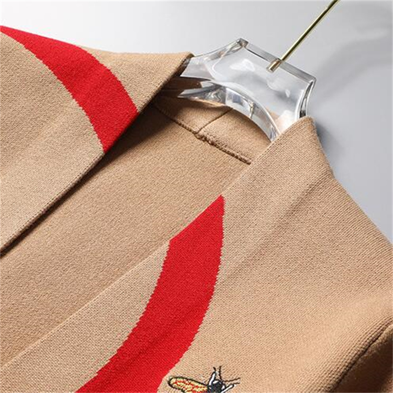 Luxus Designer Pullover Herren Herbst V-Ausschnitt Streifen Mode Langarm Damen Hochwertige Strickjacke Gestrickte Herren Pullover Mantel M-4XL