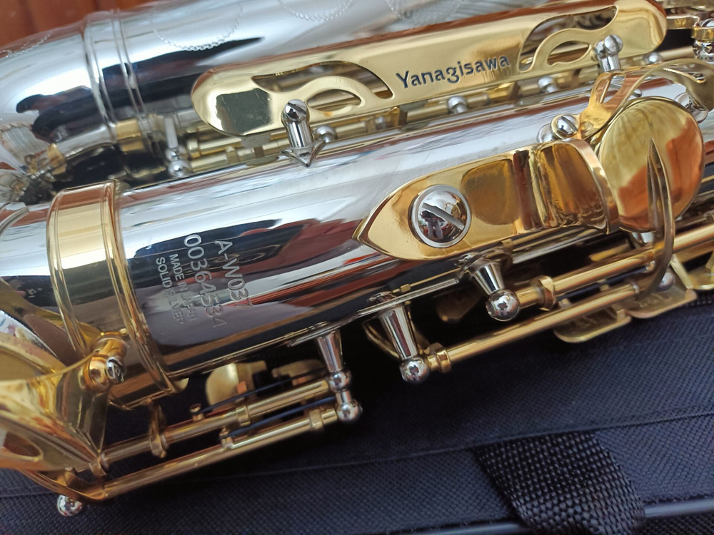 Brand New A-WO37 Alto Saxofone Niquelado Chave de Ouro Profissional Super Play Sax Bocal Com Caso