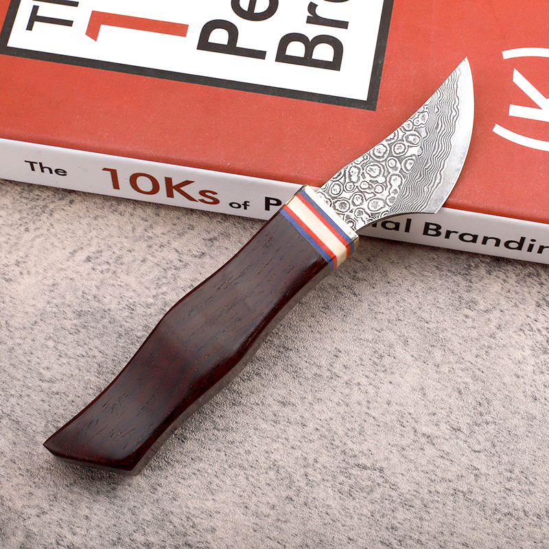 Damaskus Fixat Blade Knife VG10 Damascus Steel Blade Rosewood Handle EDC Knives Läder Mantel