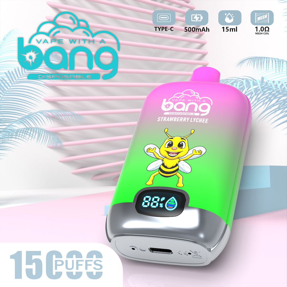 Original Bang 12000 12K Puffs 850 mAh Typ-C-Aufladung 20 ml vorgefüllter Pod mit Batterie 0% 2% 5% Einweg-E-Zigaretten Vaper Bang Box 12000 15000 15k Puff 18k 18000