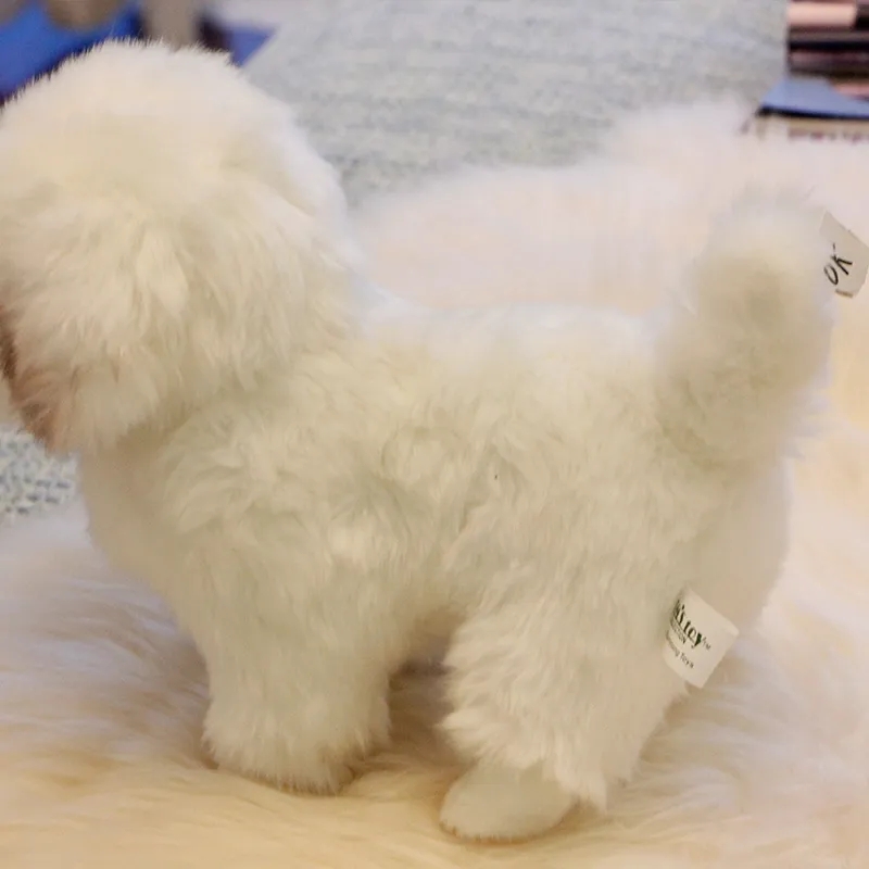 Peluche de chien maltais, Simulation d'animal de haute qualité, Mini animal de compagnie doux, décoration cadeau pour bébé, 2024