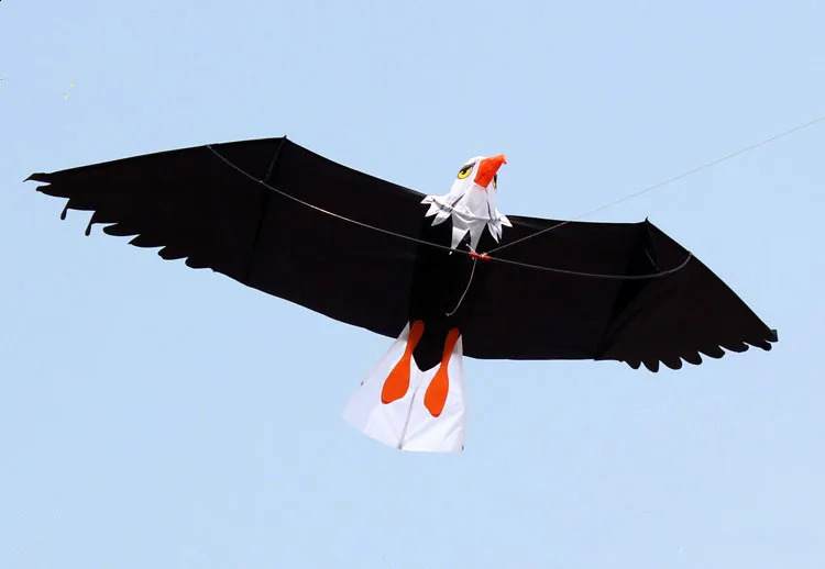 رياضة المرح في الهواء الطلق 2M 3D Eagle Kite مع مقبض وخط 30 متر تحكم سهل جيد الطيران 240223