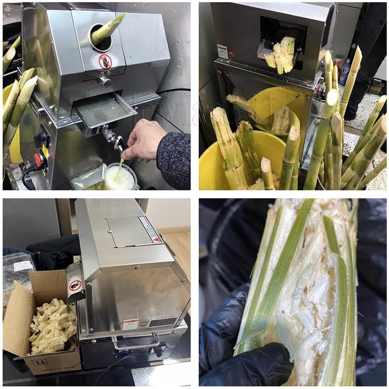 Rostfritt stål Multi Purpose Commercial Sugarcane Juice Machine Sugar Cane Juice Extractor Squeezer Sugarcane Juicer