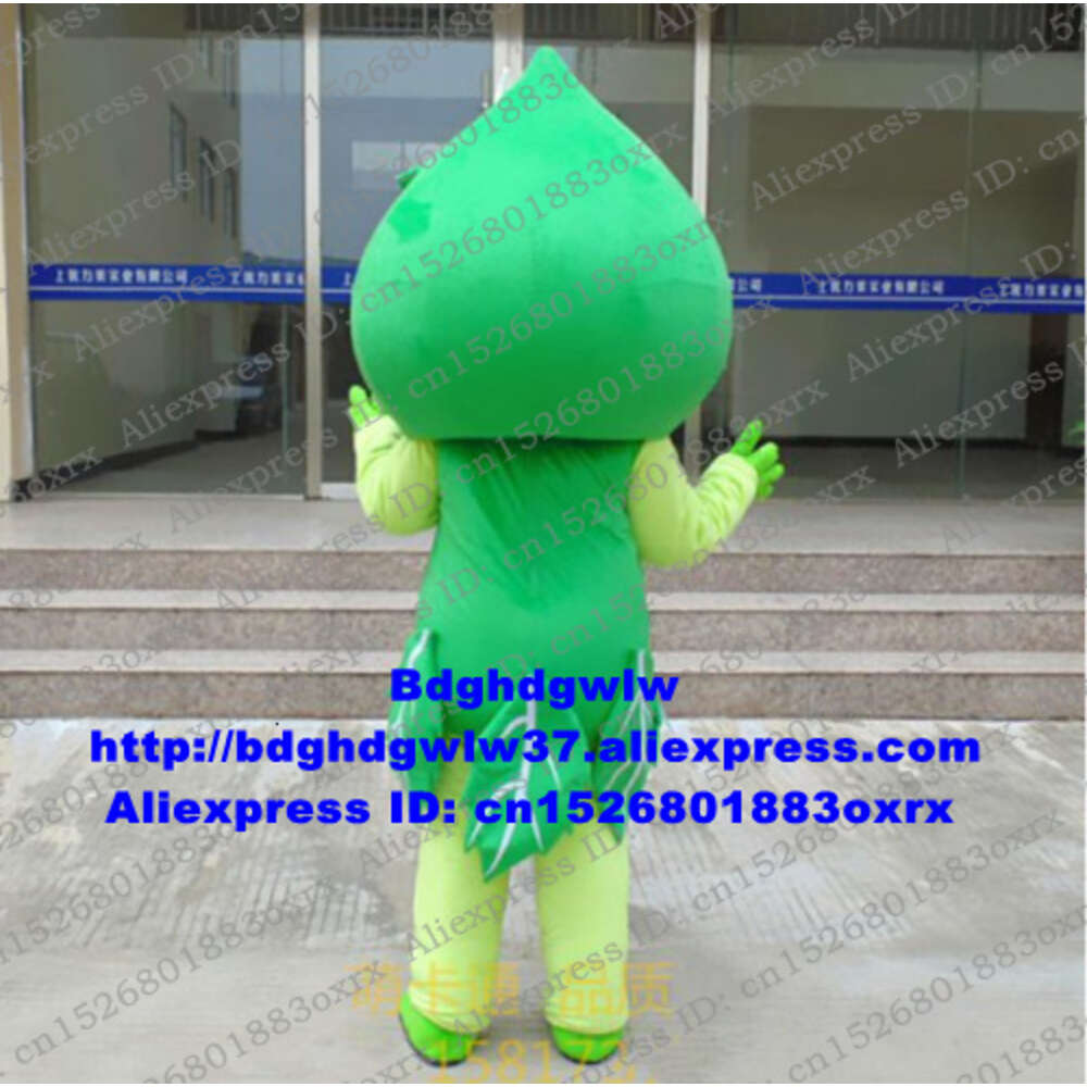 Costumes de mascotte Fleur verte Pêche Prunus Costume de mascotte Adulte Personnage de dessin animé Costume Costume Dîner de bienvenue Compaign promotionnel Zx2901