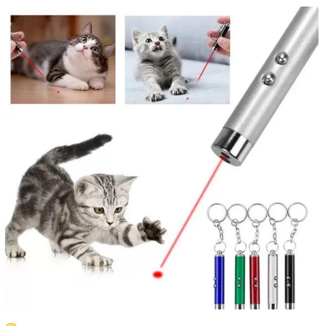 Mini ponteiro laser gato cão divertido brinquedo de alta potência zpen vista vermelho caça laser led 2 cores laser tocha luz
