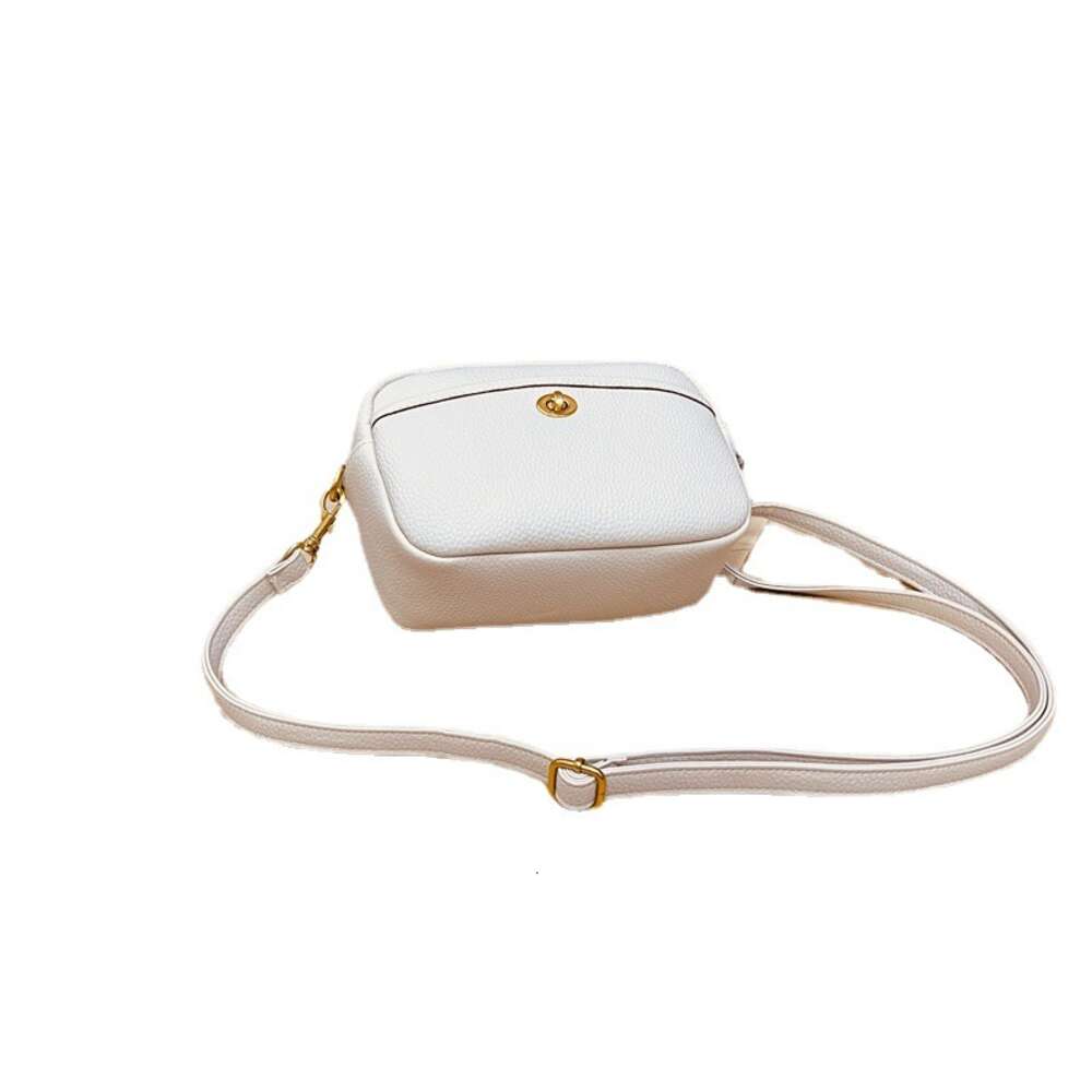 Storefront Nuova borsa fotografica con motivo litchi donna monospalla Moda Instagram semplice tracolla con fibbia piccola quadrata alla moda