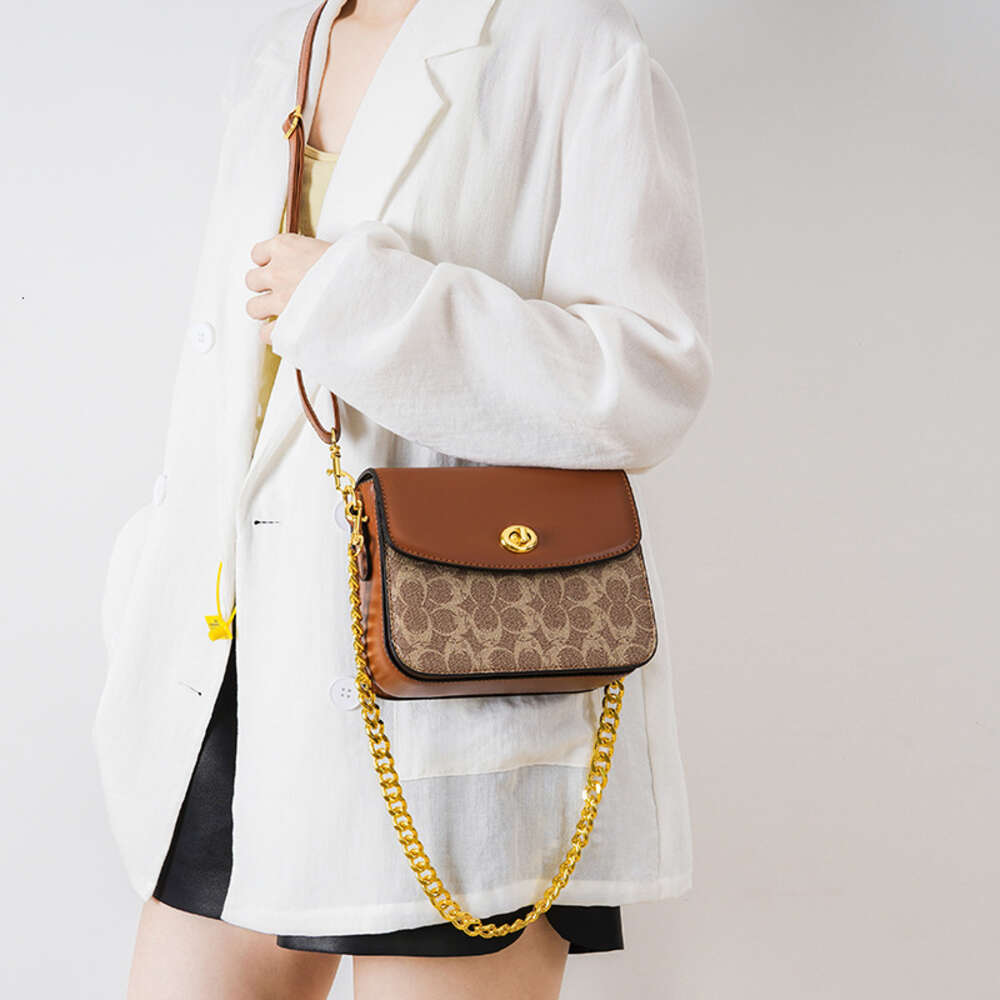 Stilvolle Handtaschen von Top-Designern. Hochästhetische Nischentasche für Damen. Neue, bedruckte, kleine, quadratische, vielseitige Umhängetasche mit einer Schulter und einer Kette