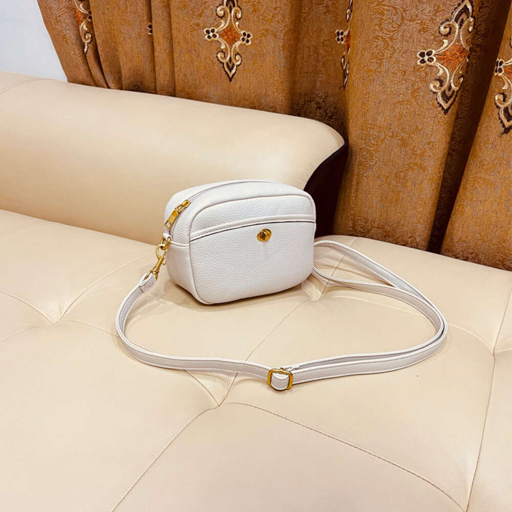Storefront Nuova borsa fotografica con motivo litchi donna monospalla Moda Instagram semplice tracolla con fibbia piccola quadrata alla moda