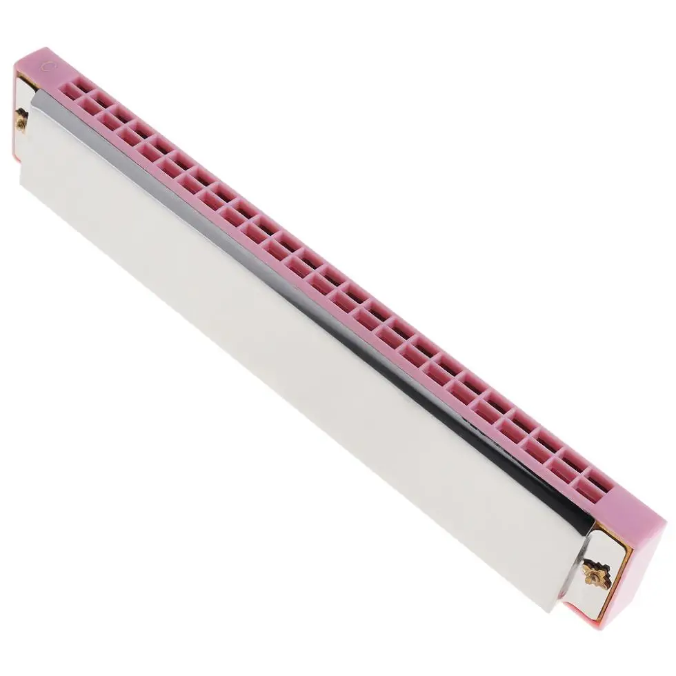 Instrumenten 24 gaten duurzaam roestvrij staal roze tremolo mondharmonica harp mondharmonica muziekinstrumenten voor kinderen studenten