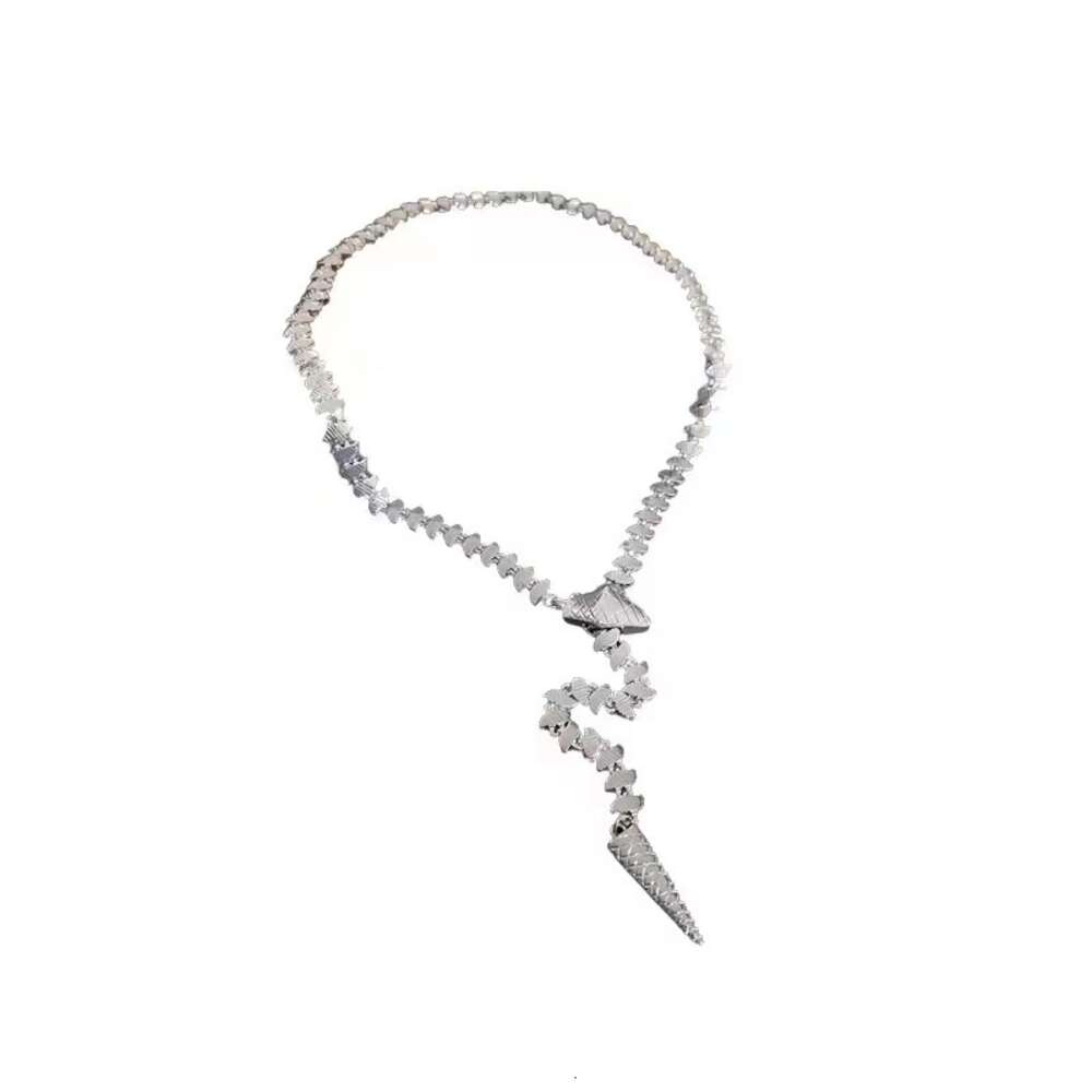 女性用のヘビ型ネックレス中国語スタイルの鎖骨セーターチェーンアクセサリー