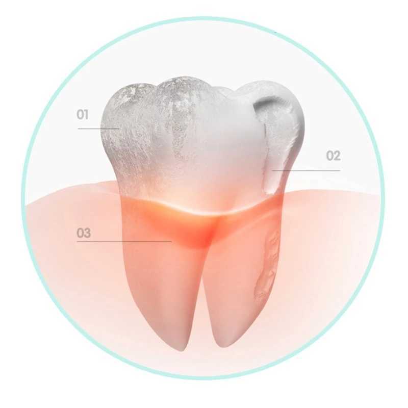 Irrigateurs buccaux Outil efficace d'irrigation et de soin buccal pour machine électrique de nettoyage des dents utilisée pour éliminer le tartre, chargement USB J240318