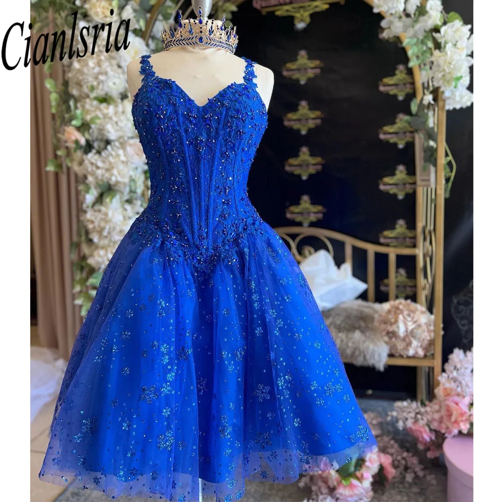 Królewska Niebieska Księżniczka Quinceanera Sukienki 2024 Tassels Tassel