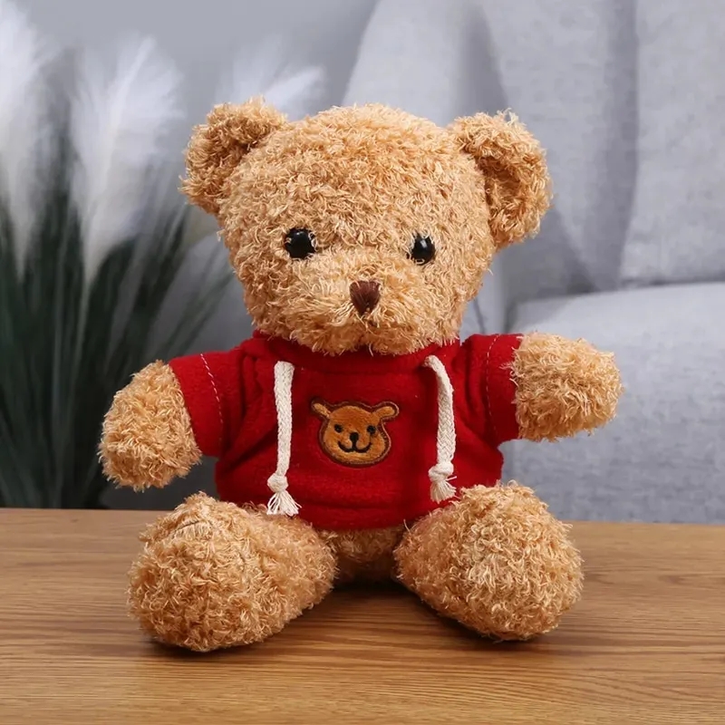 2024 SWEATER TEDDY BARET GRAW LALK