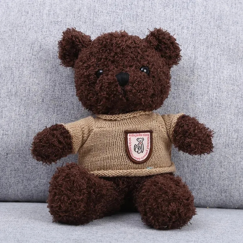 2024 SWEATER TEDDY BARET GRAW LALK