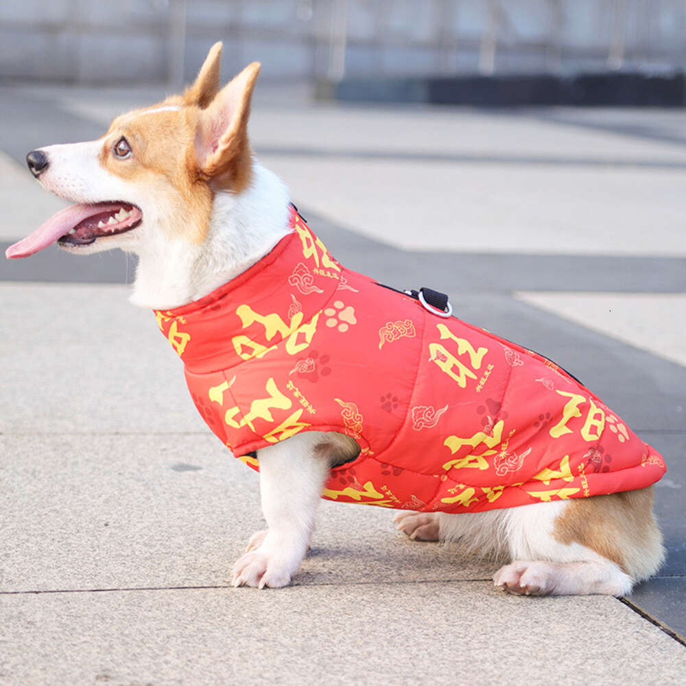 Hundhösten Corgi Bears förtjockade varma vadderade kläder Teddy små och medelstora hundar vinterhund bomullsbord