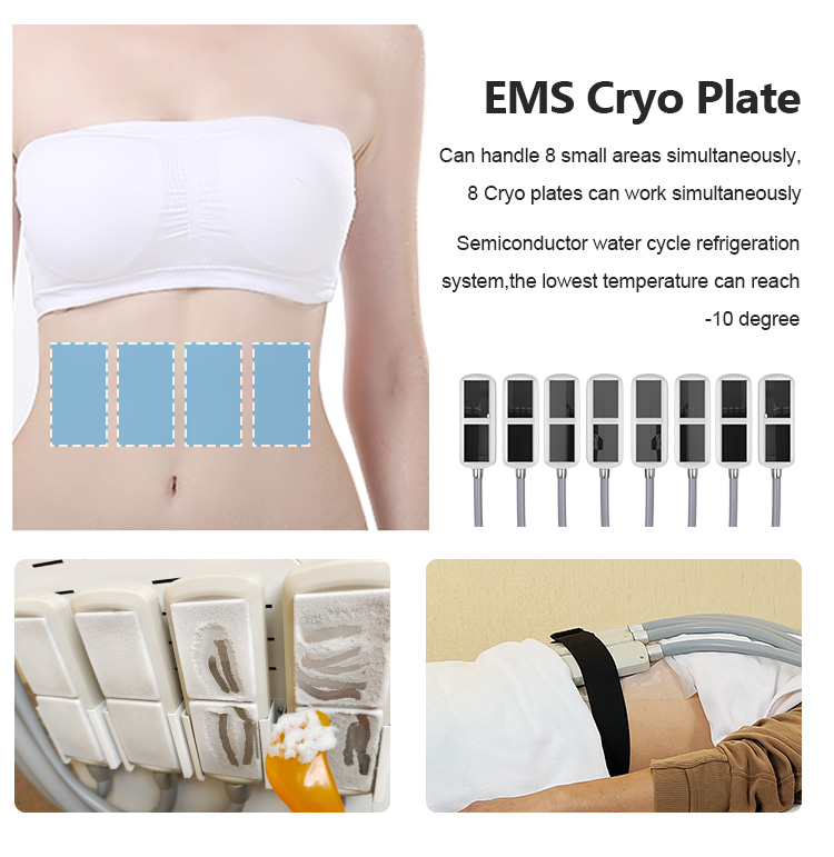 Machine professionnelle de beauté amincissante EMS cryo pad, avec 8 coussinets pour produits de forme corporelle