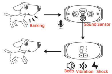 小犬と中程度の犬のための抑止トレーニングアンチバーキング、ビープ音、振動、電気ショック、IP67防水充電式襟