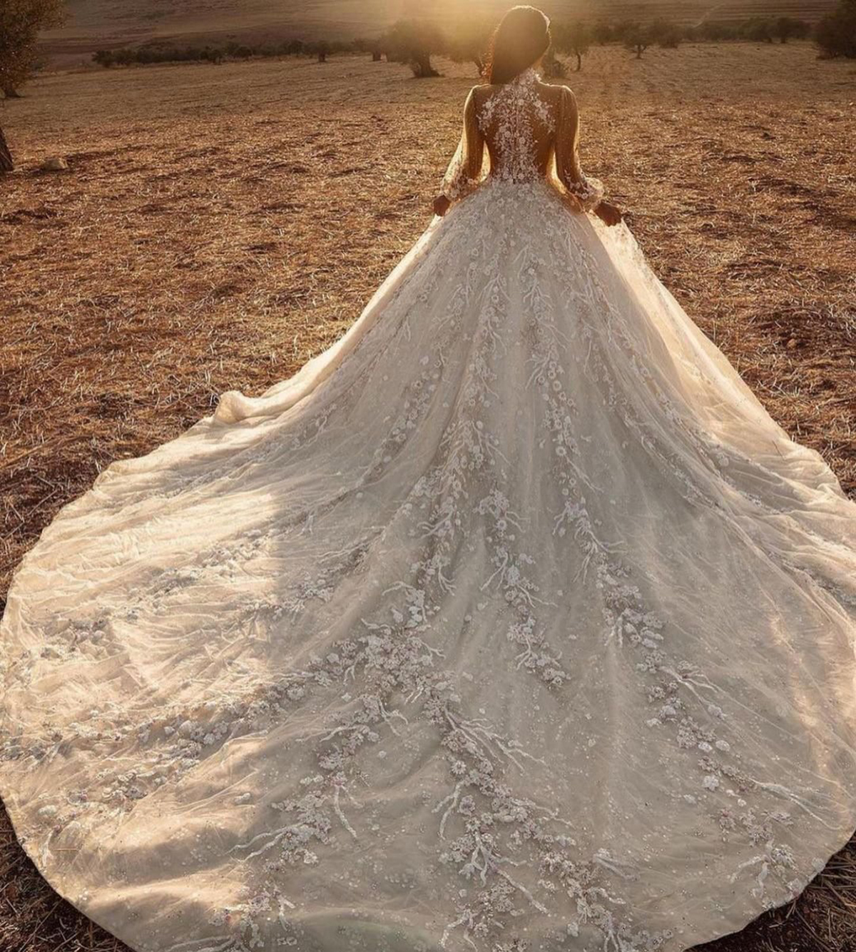 Simple High Neck Lace Wedding Dress Ball Gown Elegant Illusion Full Sleeve Bridal Gowns Long Train Vestido de novia