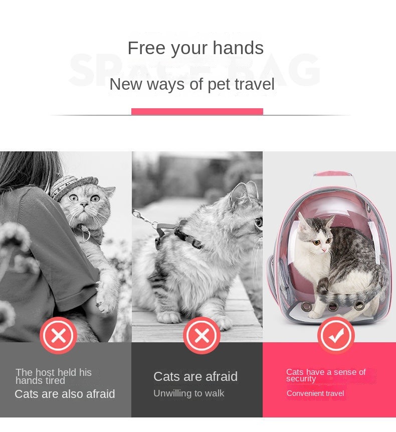 Mochila para gatos, mochila para transporte de gatos, bolsa para transporte de animais pequenos para gatos, mochila transparente para transporte de animais de estimação para pequenas caminhadas e uso ao ar livre, à prova d'água