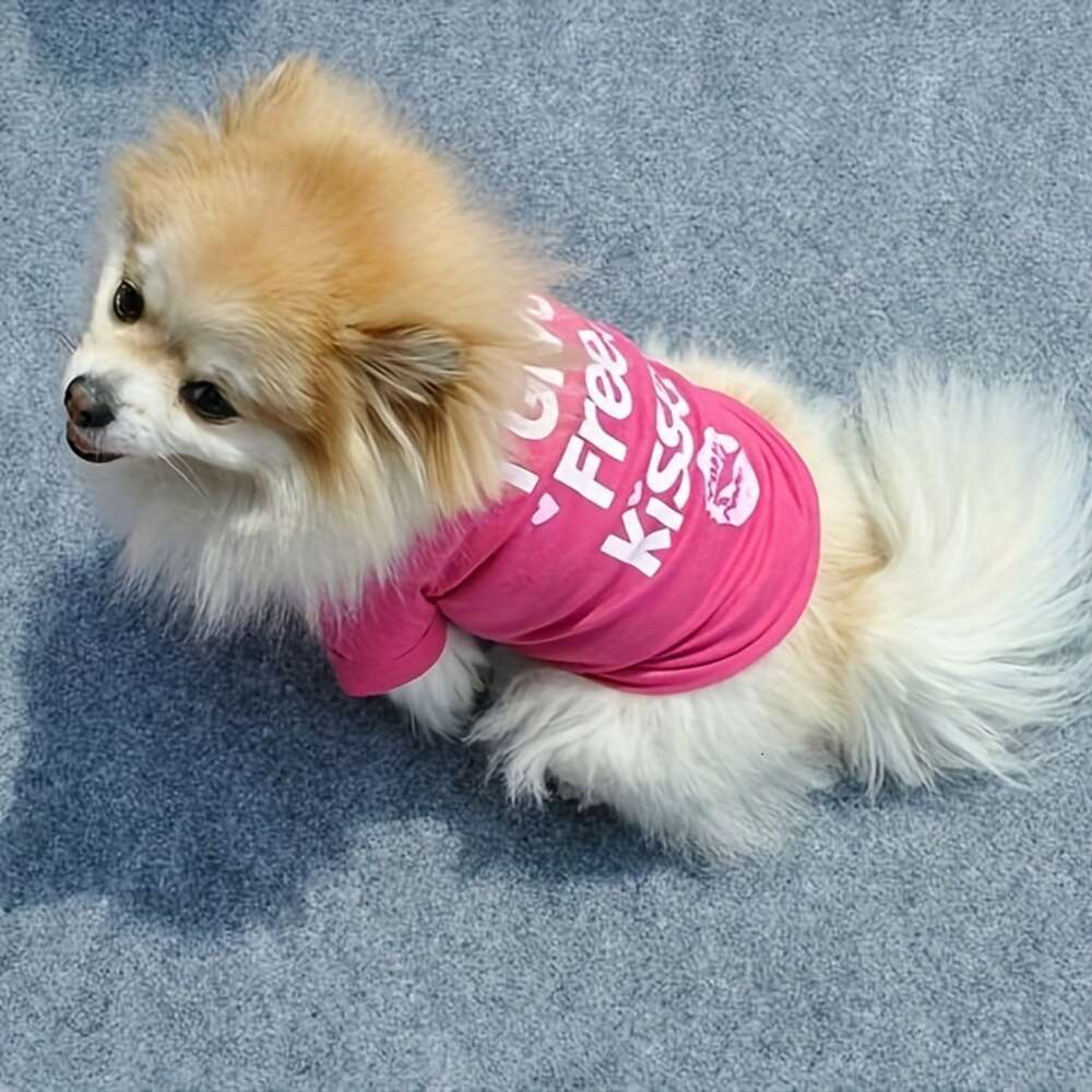 Kleine Hund atmungsaktive Weste - Stilvoller Kühlpolyesterpullover, Easy -Pflege -Frühlings-/Sommerkleidung