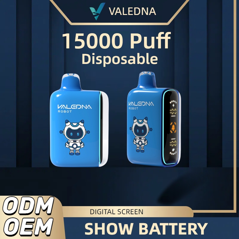 Valedna Vapes 10000 P stylo à chicha stylo à vapeur jetable cigarettes électroniques 14 ml Pod 6 couleurs lumineuses dosette de vapeur réglable à 5 % séparation du noyau d'huile 10K