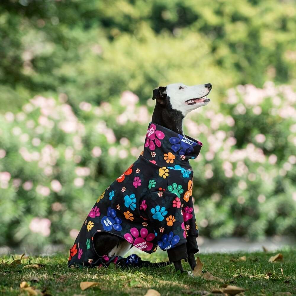 Medium Large Dog Paw Printed Greyhound Pamas Jumpsuit Bodysuit