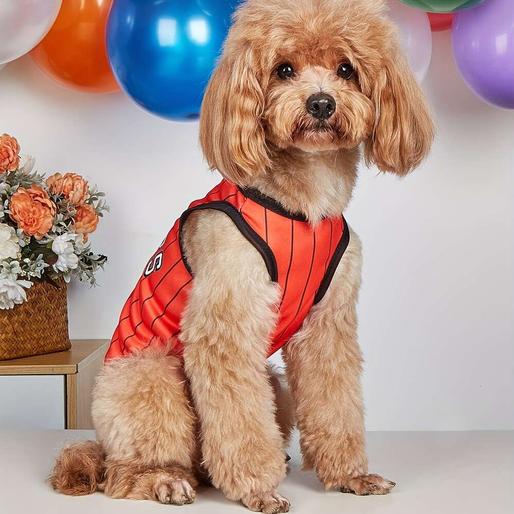 Gilet respirant pour animaux de compagnie, 1 pièce, mignon Juniors, pour chien et chat, vêtements de fête d'été