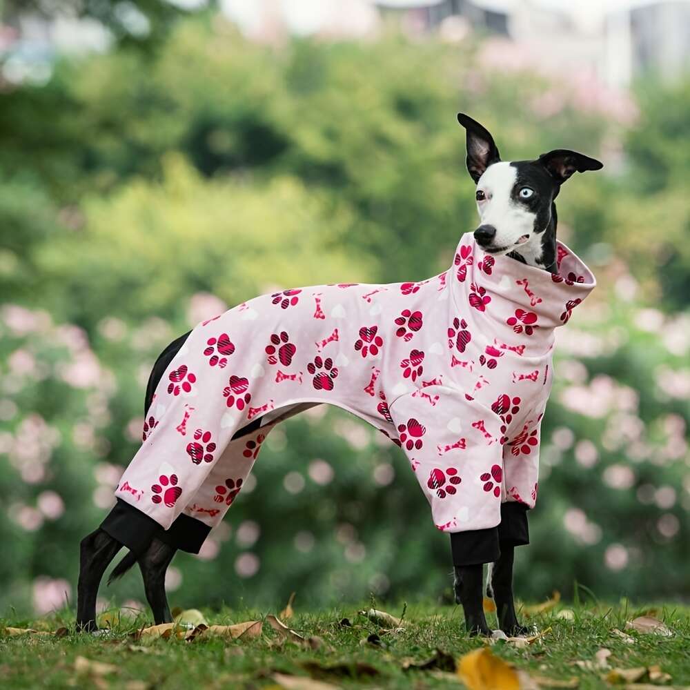 Medium Large Dog Paw Printed Greyhound Pamas Jumpsuit Bodysuit