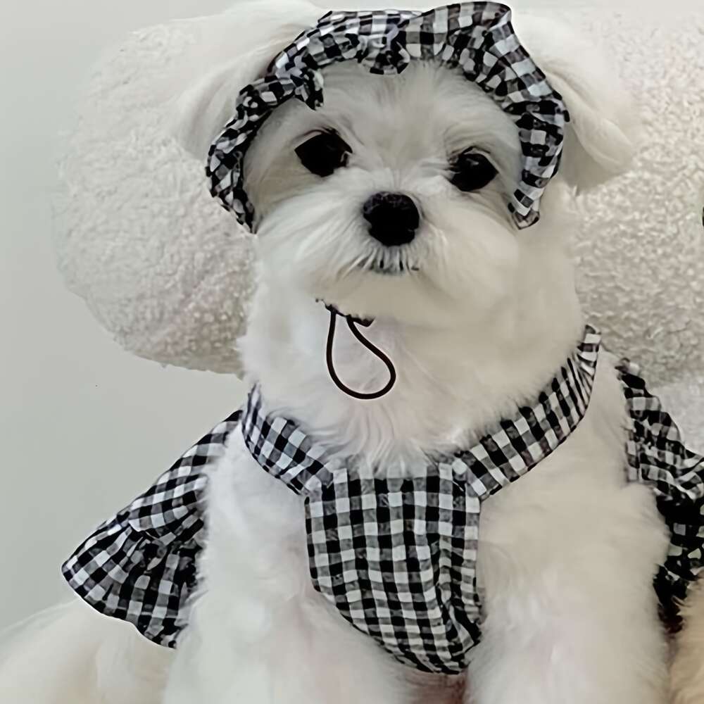 Plaid Print Haustierkleid Rüschenverkleidung Hut Set Schöne Hundekatze Sommerrockkleidung für Welpen und Kätzchen -Ausflug -Dressingkostüm